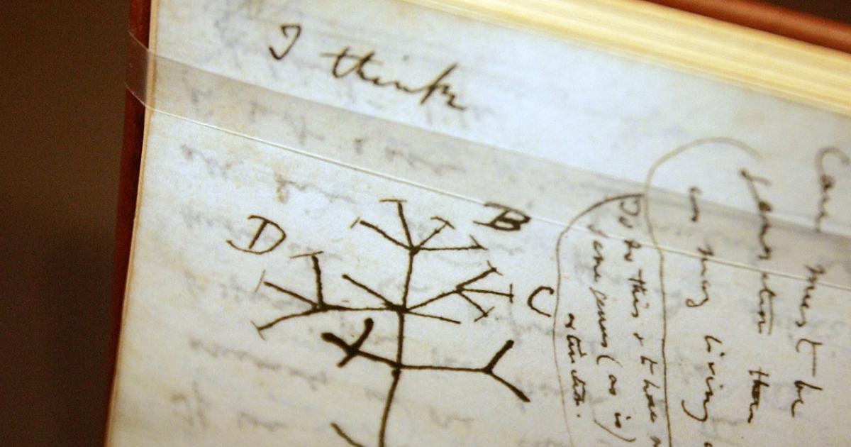Reaparecen misteriosamente dos cuadernos de Darwin que fueron robados