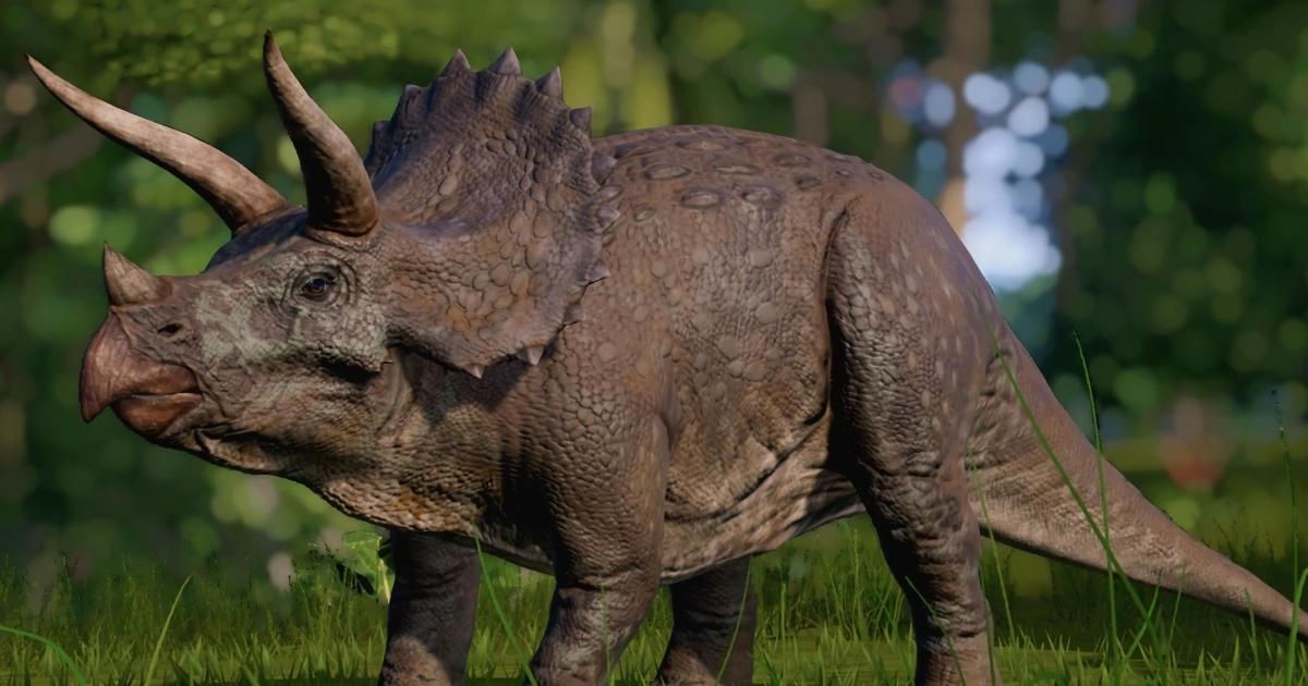 ???? Triceratops: Características y Curiosidades » Animales Salvajes