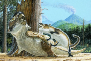 ¿Podían los mamíferos cazar dinosaurios?