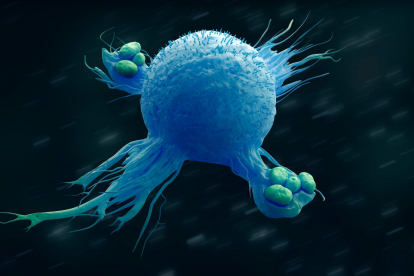 Fagocitosis: ¿cómo comen las células?