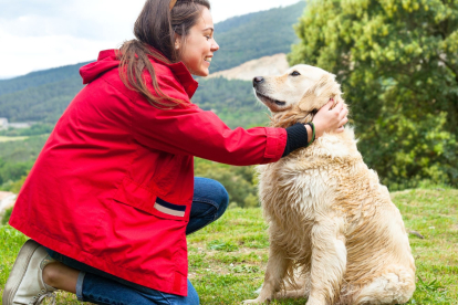 La ciencia detrás de la felicidad canina: los momentos perfectos para acariciar a tu perro