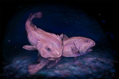 Ilustración de dos peces borrón