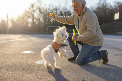 Hombre de edad avanzada jugando con su perro