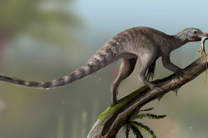 Reconstrucción de Vetenoraptor gassenae