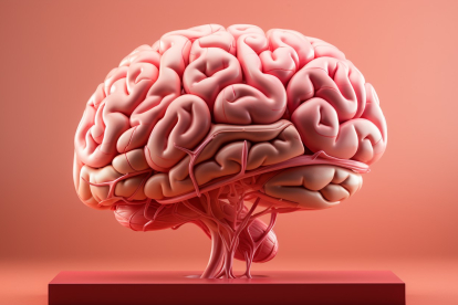 El cerebro contiene más de 3.000 tipos de neuronas, descubren los científicos