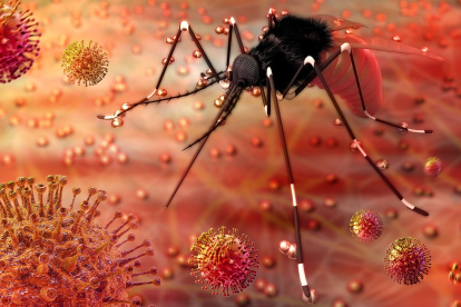 Conoce diez enfermedades transmitidas por mosquitos