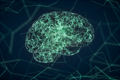 Redes neuronales del cerebro