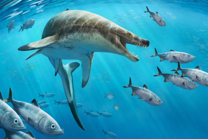 Khinjaria, un lagarto marino con dientes como dagas dominó los mares hace 66 millones años