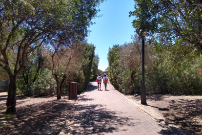 Parque del Alamillo, Sevilla