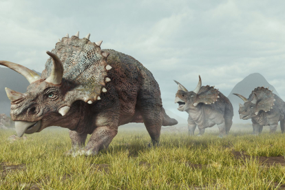 Recreación de Triceratops