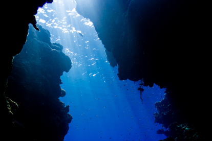Los agujeros azules suelen tener mucha vida submarina