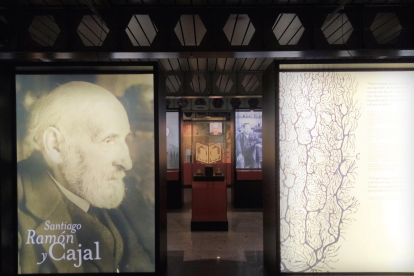 Exposición temporal 'Santiago Ramón y Cajal' en el Museo Nacional de Ciencias Naturales