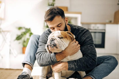 El vínculo que se establece entre perro y un buen dueño es de los más estrechos en la vida.