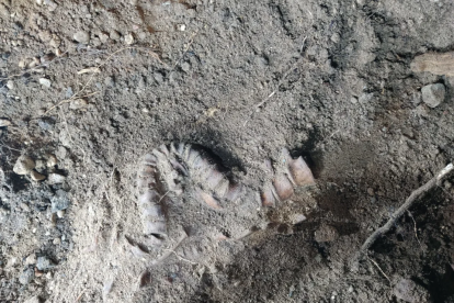 Huellas en el suelo bajo la Guarida del Lobo