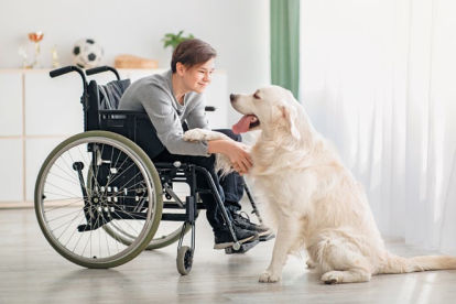 Los perros de servicio prestan ayuda a personas con movilidad reducida, les ayudan a caminar
por la calle, a abrir puertas o les acercan determinados objetos…
