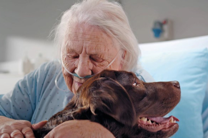 Los perros de alerta médica acompañan a personas con algún tipo de enfermedad y les avisan
cuando sea necesario emprender acciones, como tomar la medicación.