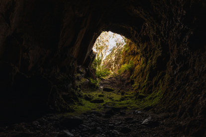 La cueva engulle y mata a casi todo lo que entra