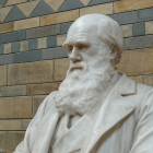 Busto de Charles Darwin