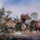 Recreación de un grupo de Triceratops