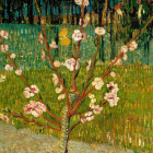 Almendro en flor, de Van Gogh