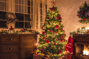 El célebre árbol que adorna nuestras casas en diciembre es llamado de una u otra forma por mucha gente, pero pinos y abetos tienen notables diferencias.