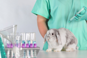 ¿Es lícito utilizar animales en la investigación científica?