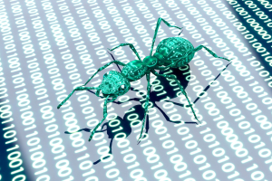 Hormigas y tecnología: cómo el comportamiento de estos insectos puede inspirar avances tecnológicos