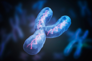 El cromosoma Y ya está totalmente secuenciado.