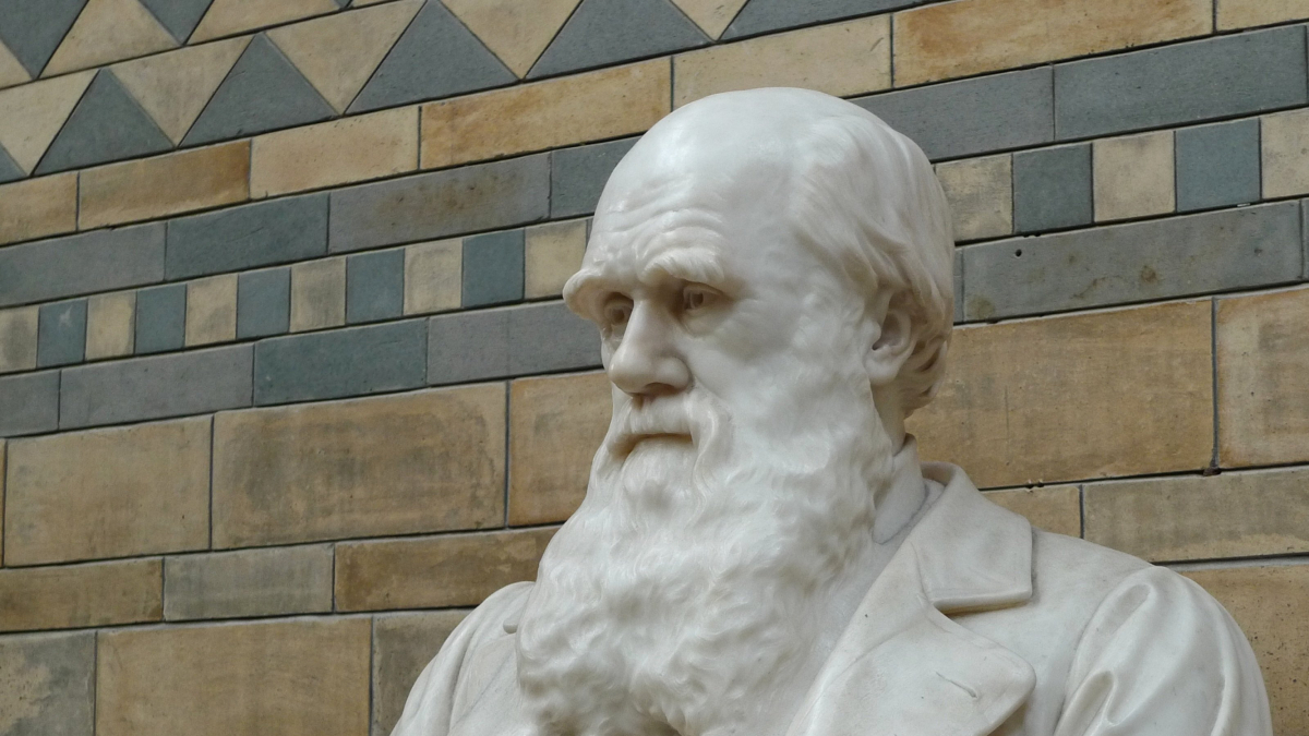 
        Explorando el legado de Charles Darwin, un genio afortunado
    