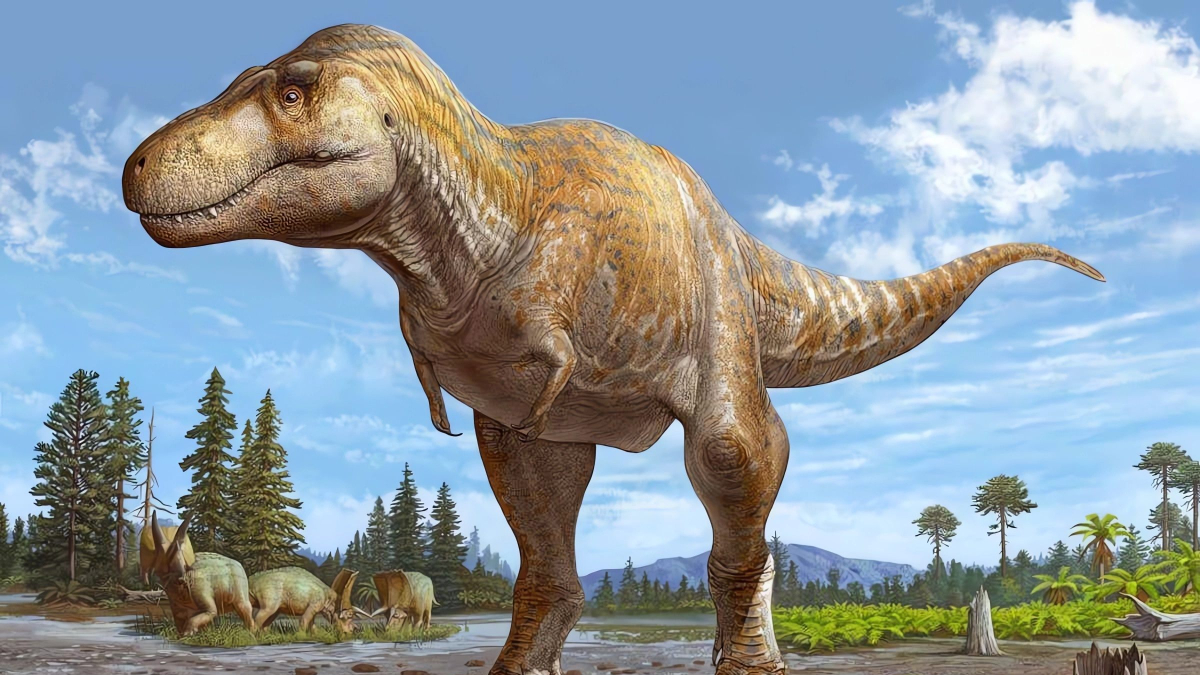 
        Se ha descubierto una nueva especie de ‘Tyrannosaurus’
    