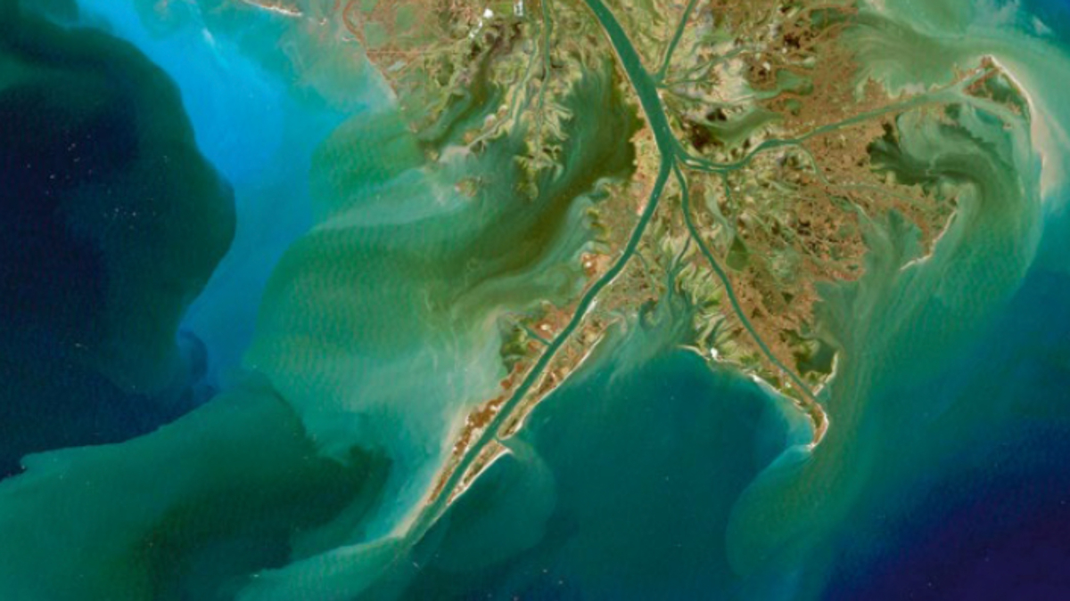 
        La eutrofización: la causante de los desiertos oceánicos
    