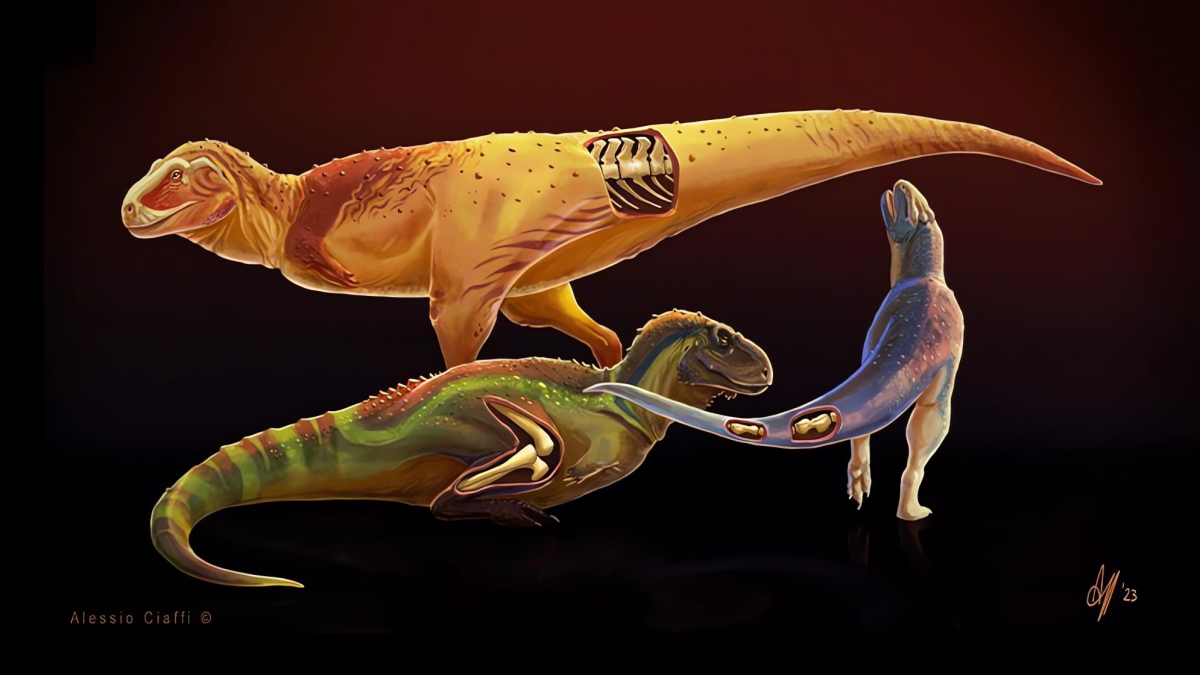 
        Identifican enfermedades que sufrieron los dinosaurios depredadores
    