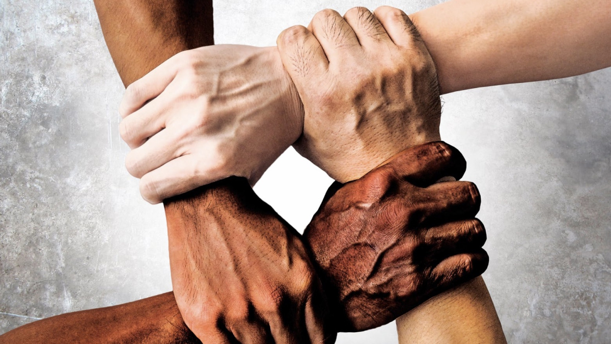 
        La humanidad: todos somos iguales pero todos somos diferentes
    