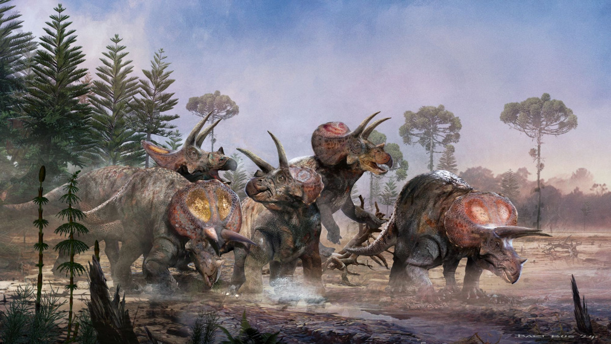 
        'Parque Jurásico' tenía razón: los Triceratops vivían en manada
    