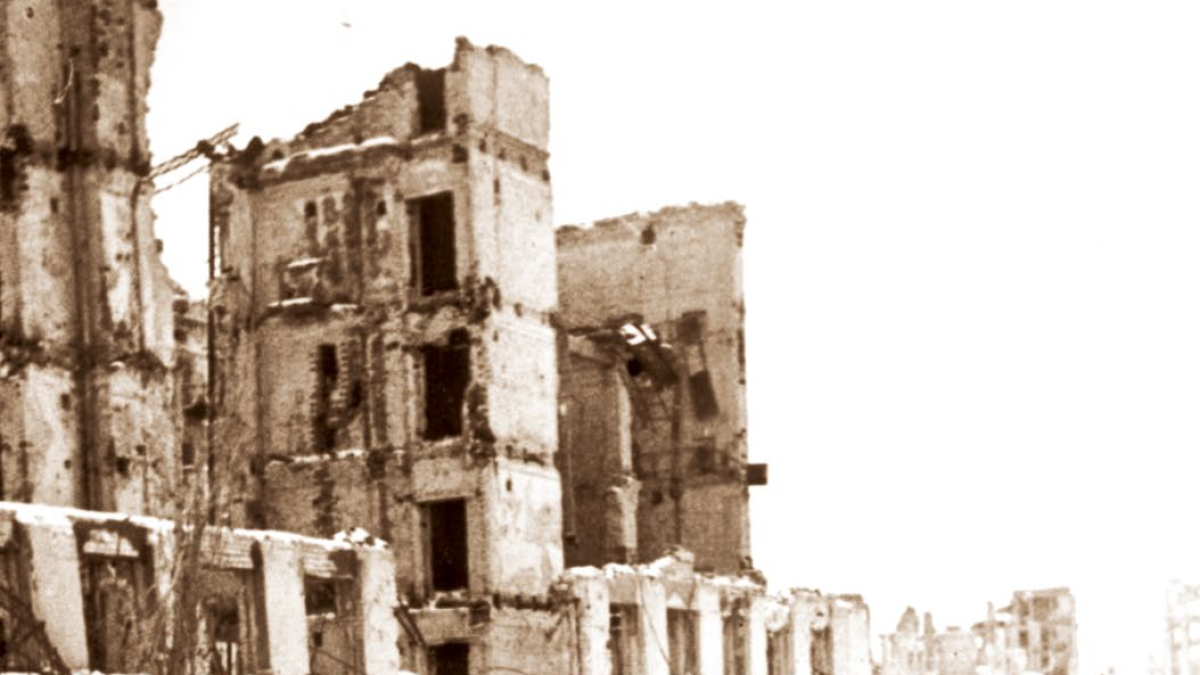 
        ¿Cómo sobrevivieron los cercados durante la batalla de Stalingrado?
    
