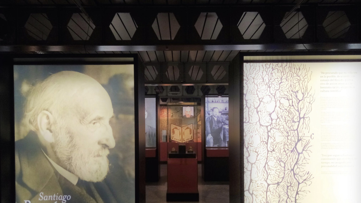 
        Las puertas abiertas por Ramón y Cajal: descubre su gran legado científico
    