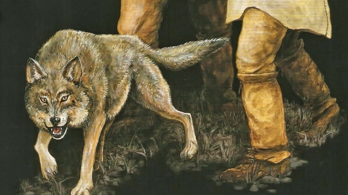 
        Del lobo al perro: descubre el origen y la domesticación del mejor amigo de la humanidad
    