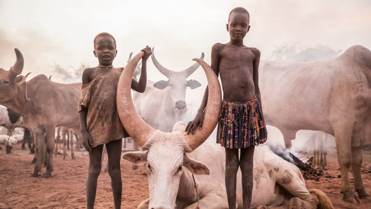 
        Los Mundari de Sudán del Sur: guardianes de las sagradas vacas Ankole
    