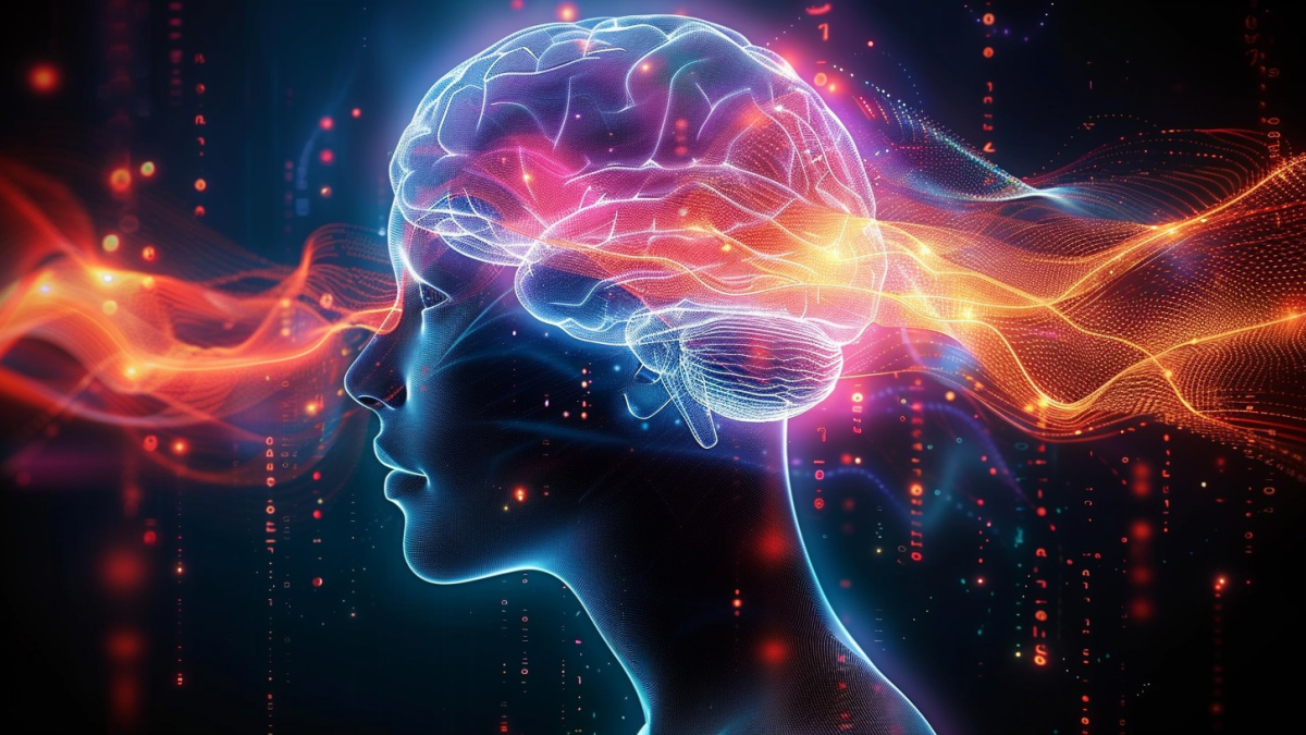 
        El cerebro puede almacenar 10 veces más datos de lo que se pensaba
    