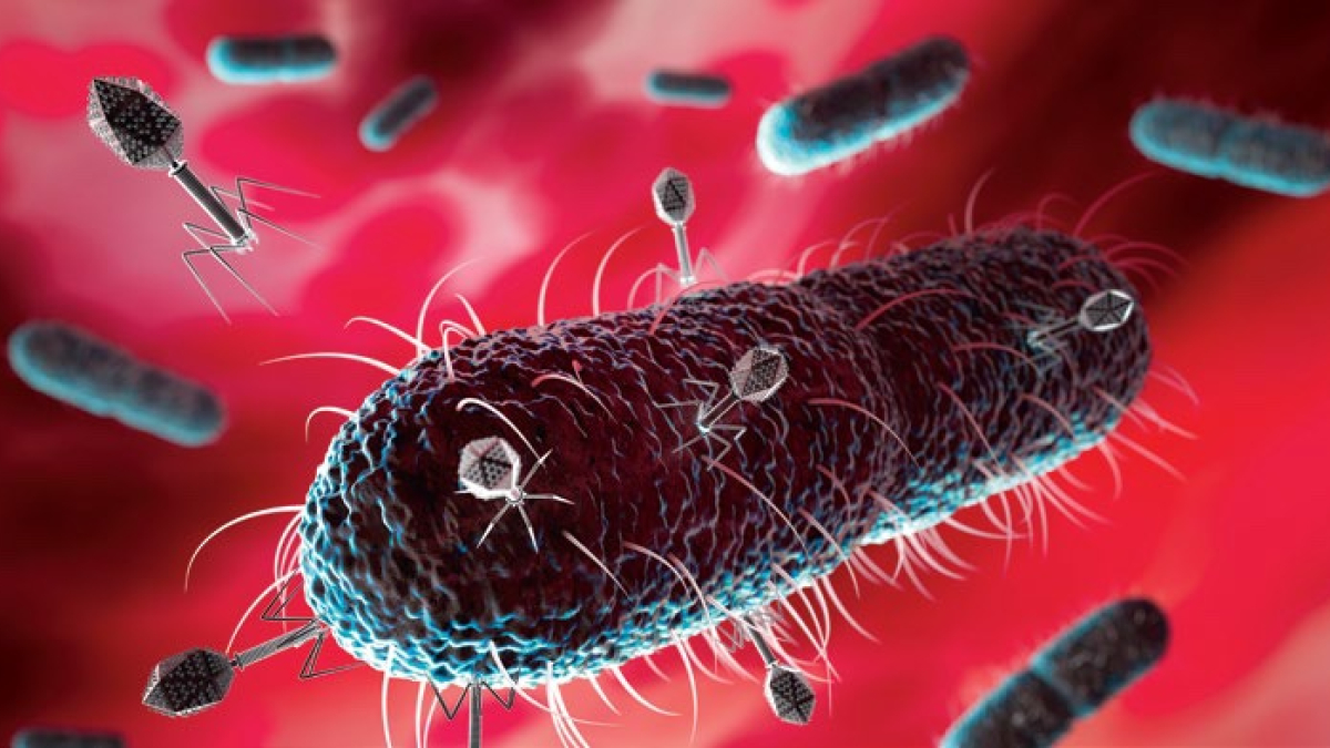 
        Descubre a Escherichia coli, la bacteria con dos caras
    