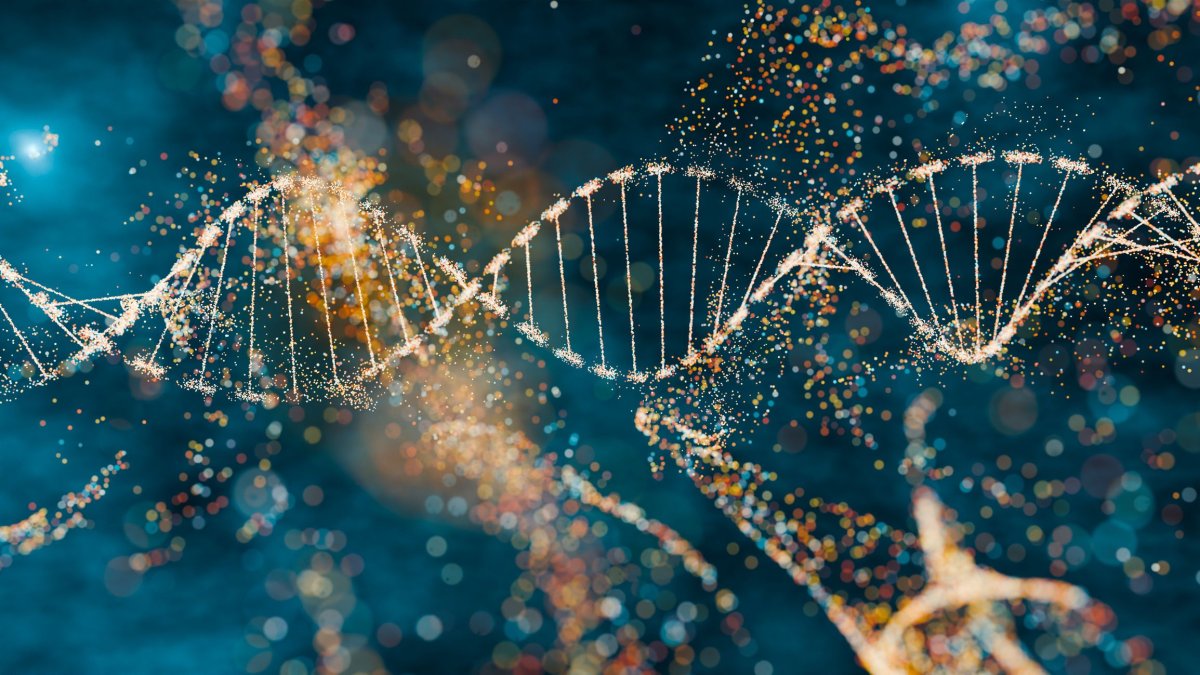 
                Todas las células de tu cuerpo tienen el mismo genoma... casi siempre
            