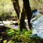 Transformando residuos en nutrientes: cómo funciona el plástico compostable