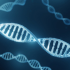 ¿Cuál es el origen del ADN?
