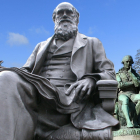 Darwin contra Lamarck: revisando la historia de la teoría evolutiva