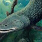 Descubren un pez prehistórico con colmillos de hace 380 millones de años