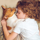 Para dormir, el perro querrá el sitio más cómodo y si tiene olor de la familia, mucho mejor.