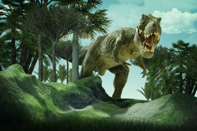 Mitos del Tyrannosaurus Rex, ¿cómo eran realmente los T-Rex