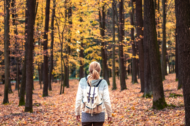 10 curiosidades sobre el otoño: descubre los misterios y maravillas de esta  estación