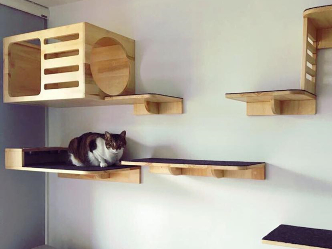 Las mejores 25 ideas de Escaleras para gato  escaleras para gato, muebles para  gatos, muebles para gato