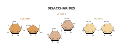 Estructura molecular de diferentes disacáridos
